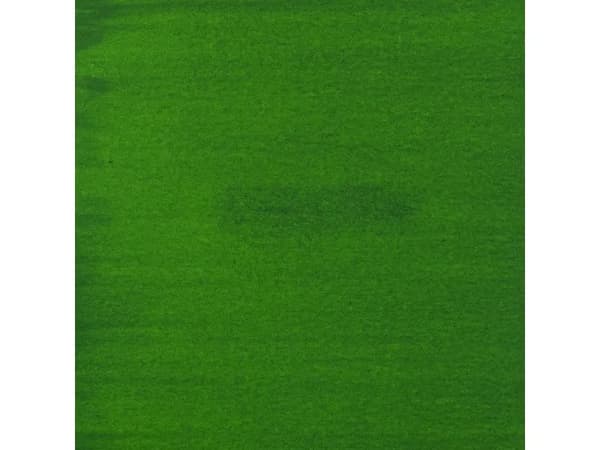Amsterdam Acrylic Ink Bottle Permanent Green Light 618