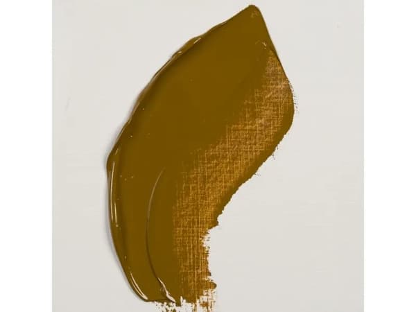 Rembrandt Oil Colour Tube Raw Sienna 234