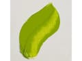 Pikkukuva 4 / 5: Rembrandt Oil Colour Tube Permanent Yellowish Green 633