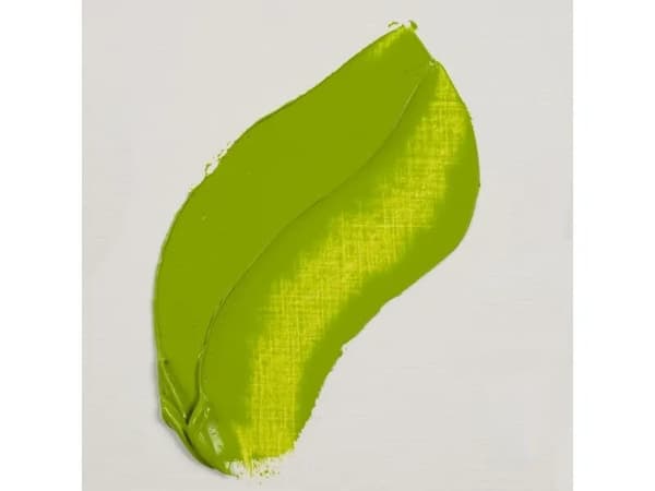 Rembrandt Oil Colour Tube Permanent Yellowish Green 633