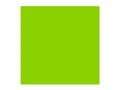 Pikkukuva 1 / 5: Rembrandt Oil Colour Tube Permanent Yellowish Green 633