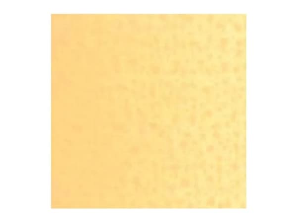 Van Gogh Oil Colour Tube Naples Yellow Red 224