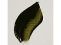 Miniatyrbilde 4 av 5: Rembrandt Oil Colour Tube Olive Green 620