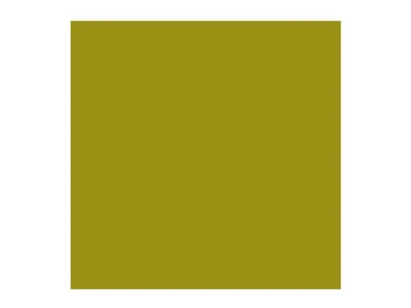 Rembrandt Oil Colour Tube Olive Green 620