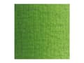 Miniatyrbilde 1 av 5: Van Gogh Oil Colour Tube Sap Green 623