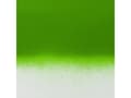 Miniatyrbild 4 av 5: Amsterdam Spray Paint Permanent Green Light 618
