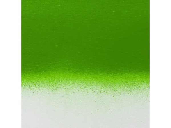 Amsterdam Spray Paint Permanent Green Light 618