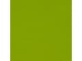 Miniatyrbilde 1 av 5: Rembrandt Acrylic Colour Tube Yellowish Green 617