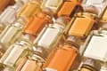 Miniatyrbild 1 av 5: Talens Ox Gall 051 Bottle