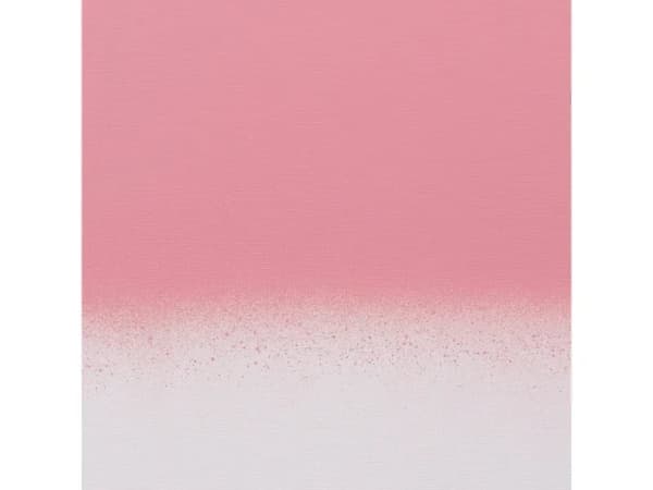 Amsterdam Spray Paint Venetian Rose 316