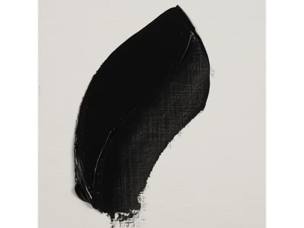 Rembrandt Oil Colour Tube Ivory Black 701