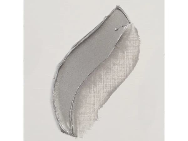 Rembrandt Oil Colour Tube Silver 800