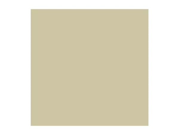 Rembrandt Oil Colour Tube Silver 800