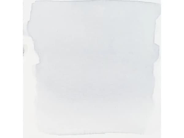 Ecoline Liquid Watercolour Bottle Cold Grey Light 738