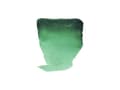 Miniatyrbilde 1 av 5: Rembrandt Watercolour Tube Phthalo Green Yellow 681