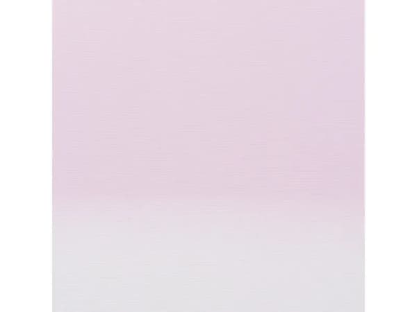 Amsterdam Spray Paint Light Rose 361