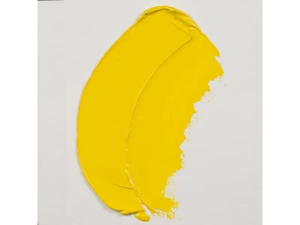 Rembrandt Oil Colour Tube Cadmium Yellow Light 208