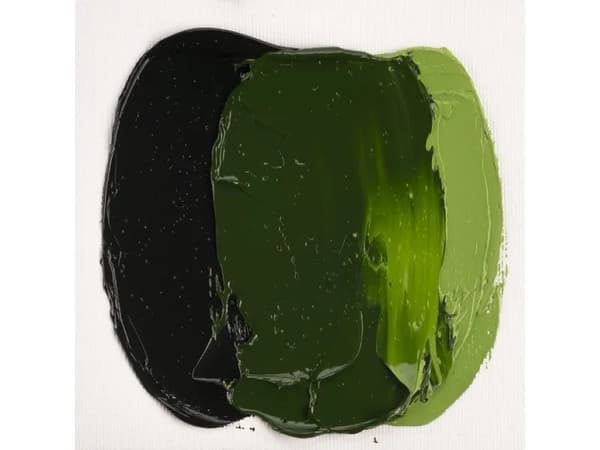 Cobra Study Water Mixable Oil Colour Tube Sap Green 623