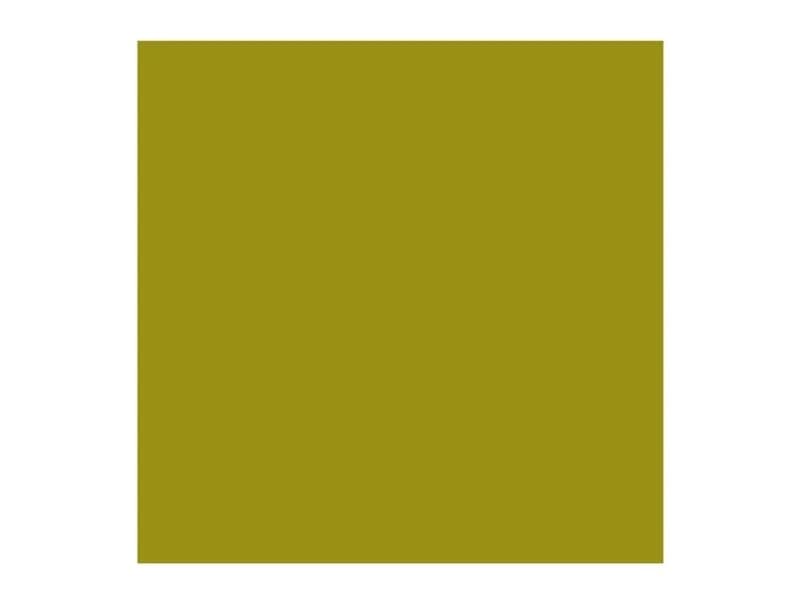 Rembrandt Oil Colour Tube 40 ml Olive Green 620
