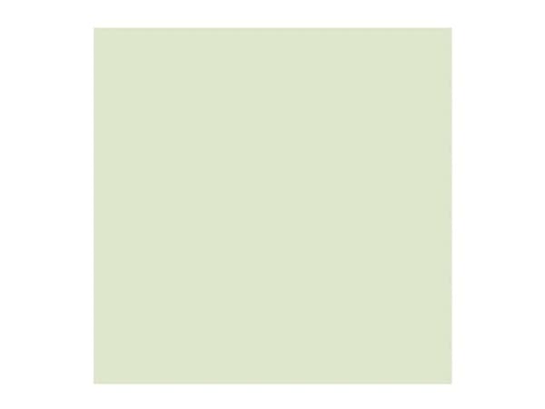 Rembrandt Oil Colour Tube Naples Yellow Green 282