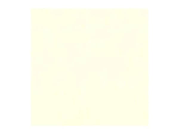 Van Gogh Oil Colour Tin Titanium White (Safflower Oil) 105