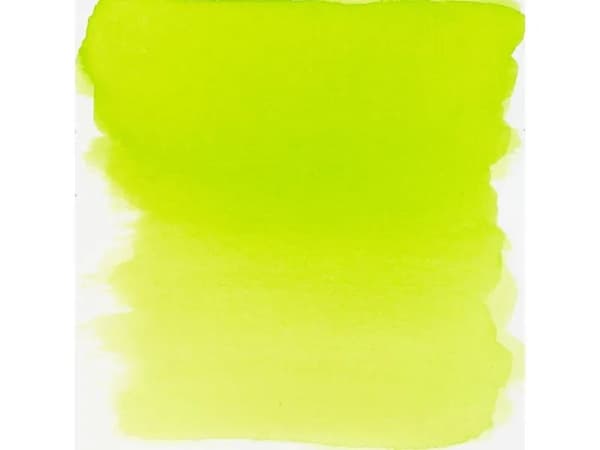 Ecoline Liquid Watercolour Bottle Grass Green 676