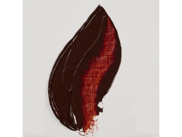 Rembrandt Oil Colour Tube Transparent Oxide Red 378