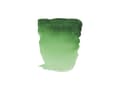 Miniatyrbilde 5 av 5: Rembrandt Watercolour Pan Permanent Green 662
