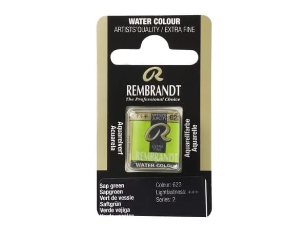 Rembrandt Watercolour Pan Sap Green 623