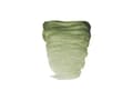 Miniatyrbilde 1 av 5: Rembrandt Watercolour Tube Green Earth 629