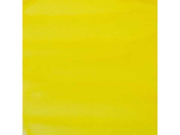 Amsterdam Acrylic Ink Bottle Azo Yellow Lemon 267
