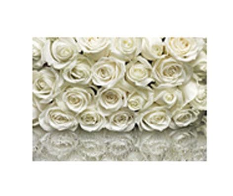 Sunny_Decor Photomurals Sd314 368X254(6)