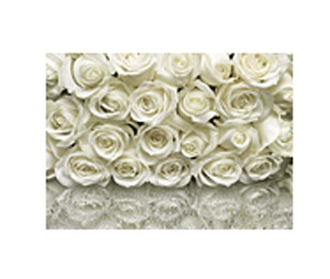 Sunny_Decor Photomurals Sd314 368X254(6)