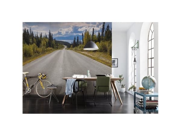 Komar Photo Mural 8-532 368X254 Atlin Road