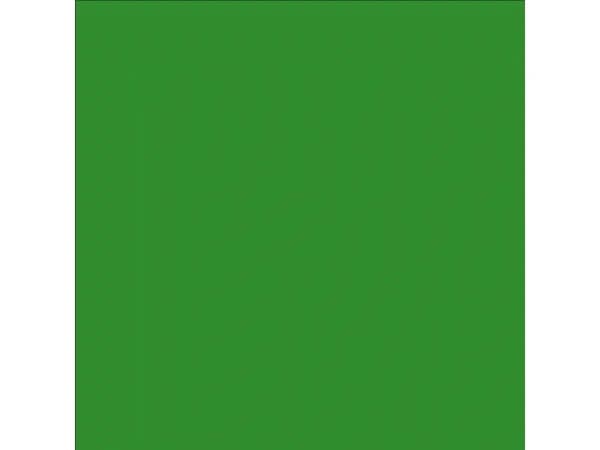 Talens Art Creation Indoor & Outdoor Jar Sap Green 6022