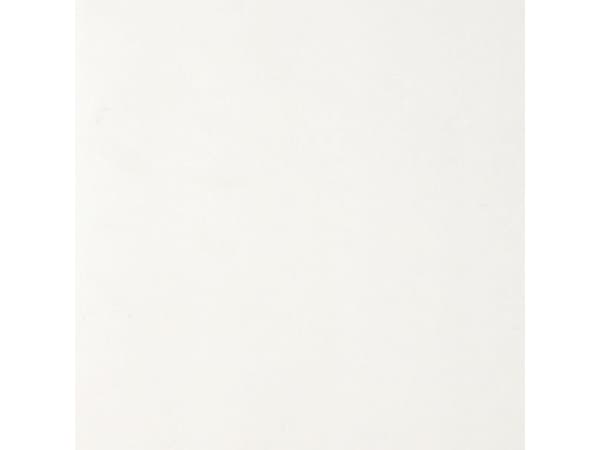 Dumapan Panel 10Cm White 2M60
