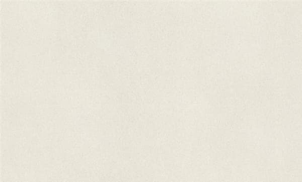Rasch Wallpaper 973006 Fiesta