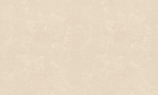 Rasch Wallpaper 977127 Metal Spirit