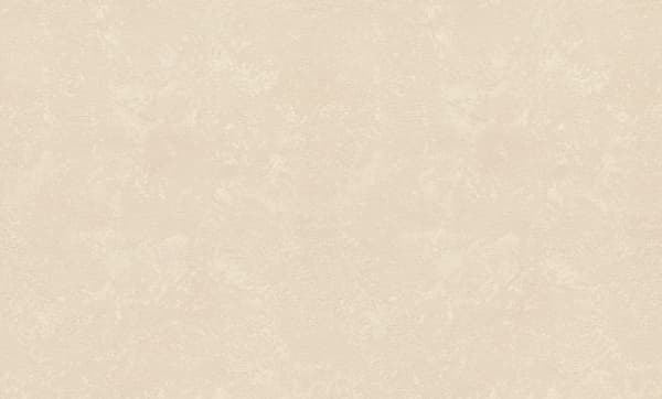 Rasch Wallpaper 977127 Metal Spirit