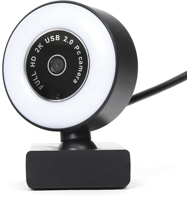 Platinet web cam PCWC2KAF (45707)