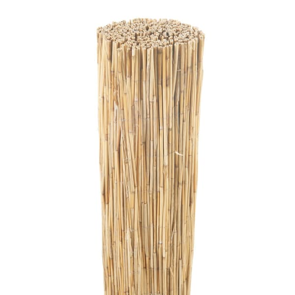 Vassmatta Abbateggio staket 160x600 cm [casa.pro]