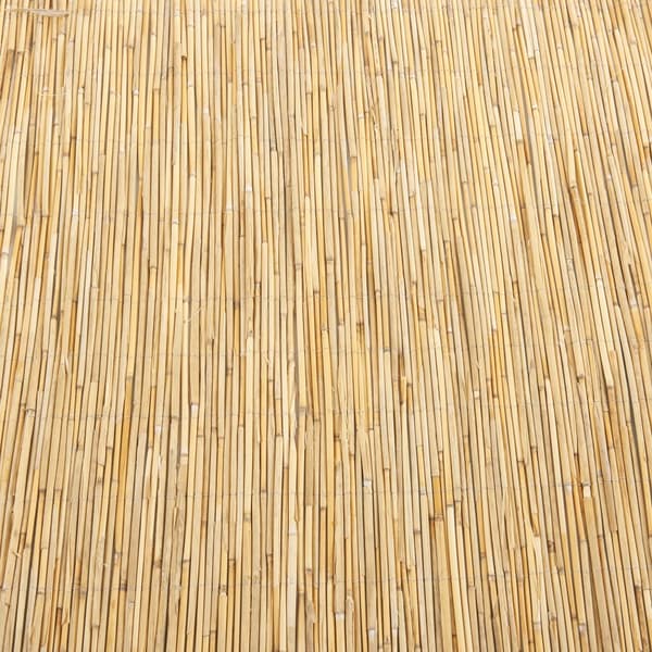 Vassmatta Abbateggio staket 160x600 cm [casa.pro]