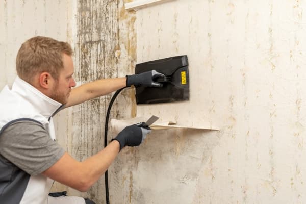 Wagner SteamForce Speed Pro Damp-tapetopløser 2750 W