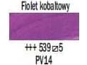 Rembrandt Oil Colour Tube Cobalt Violet 539