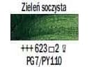 Artequipment TALENS REMBRANDT 40ML 623 - SAP GREEN - uniw oljemaling