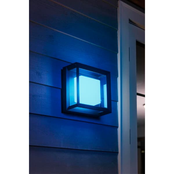 Philips Hue WCA Econic Vegg/Taklampe Sort