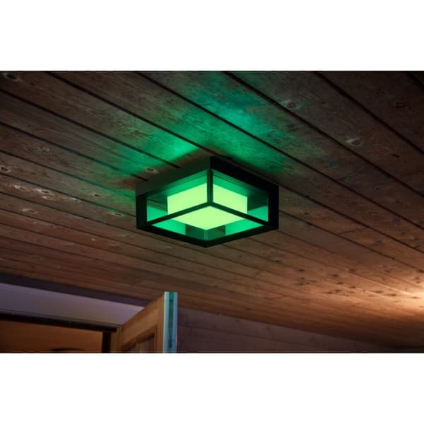 Philips Hue WCA Econic Vegg/Taklampe Sort