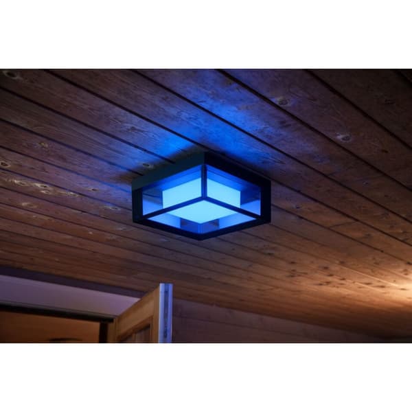 Philips Hue WCA Econic Vegg/Taklampe Sort