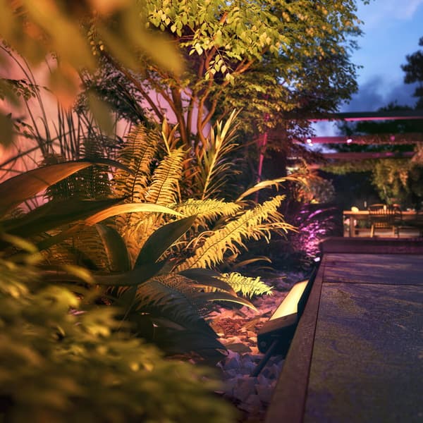 Philips Hue WCA Amarant Hagespot