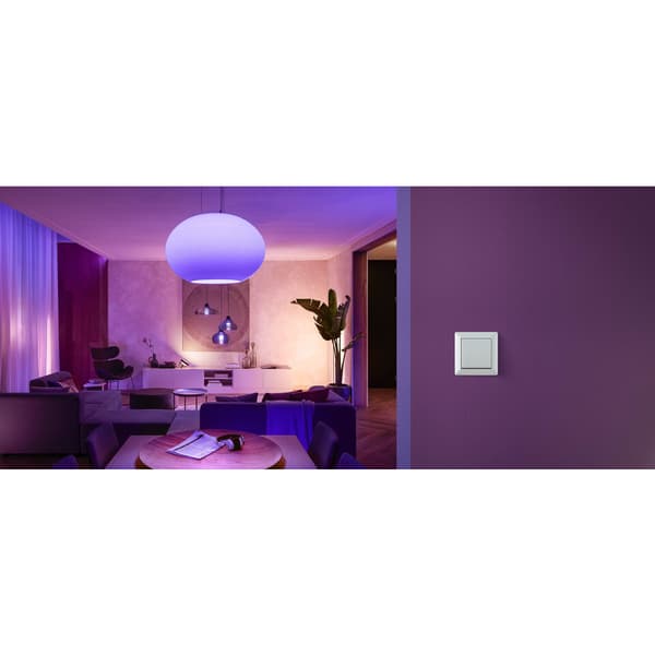 Philips Hue wall switch module 2-pack